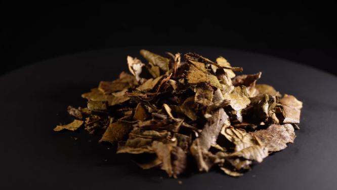 蜜枇杷叶中药中草药中医药材4