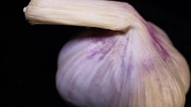 调料杀菌大蒜蒜瓣蒜头