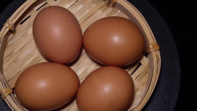 食材蛋白质鸡蛋壳5