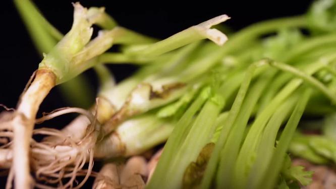 香菜蔬菜提鲜6
