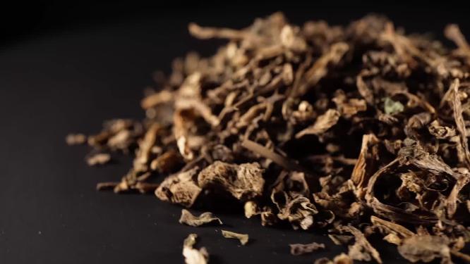马齿苋中药中草药中医药材3