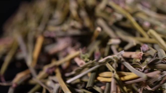 麻黄中药中草药中医药材4