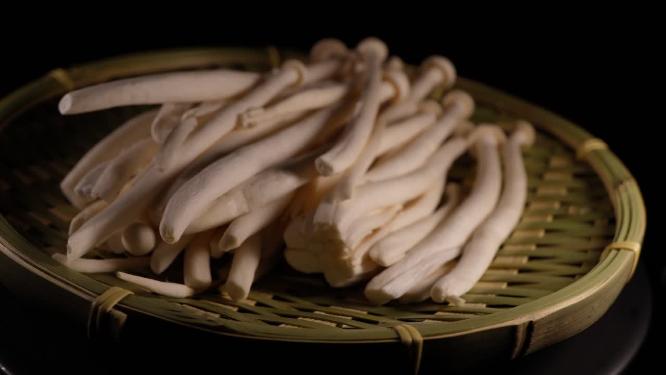 【镜头合集】白玉菇海鲜菇