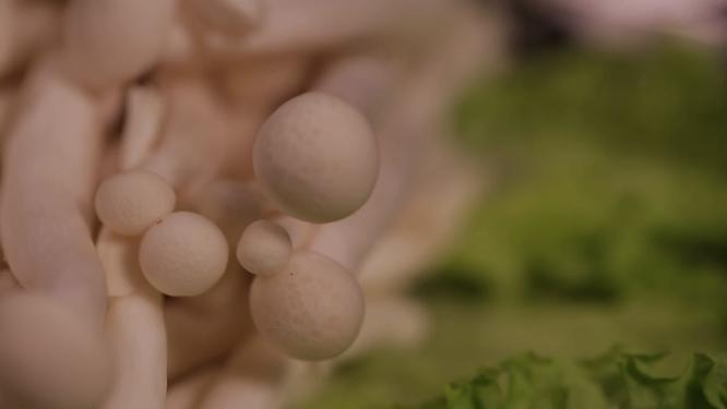 【镜头合集】白玉菇白灵菇白蘑菇