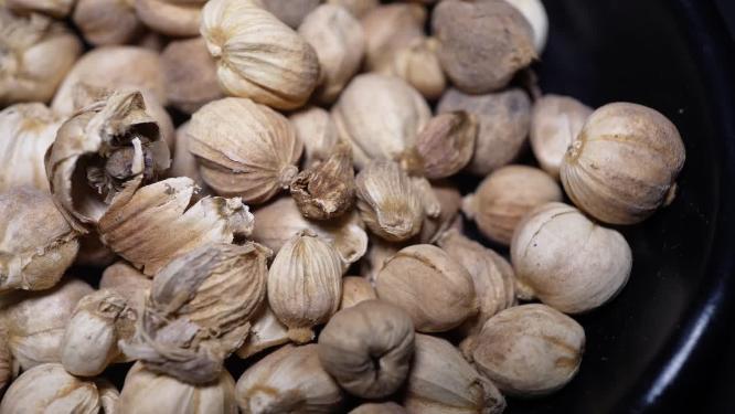 【镜头合集】白蔻豆蔻香料调料卤肉食材调味料 