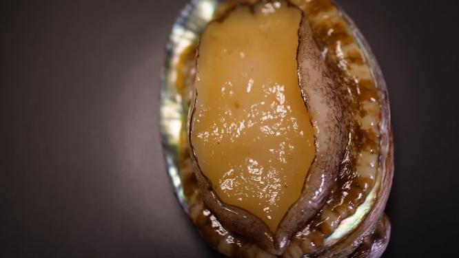 【镜头合集】鲍鱼海鲜生鲜