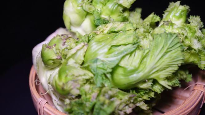 儿菜嫩儿仔绿色蔬菜娃娃菜母子菜