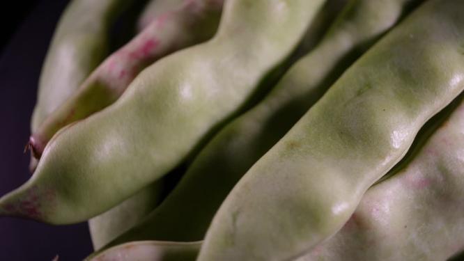 刀豆扁豆角大豆角