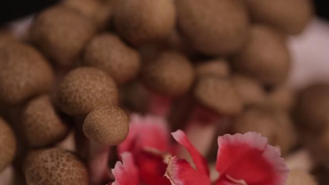 海鲜菇蟹味菇蘑菇