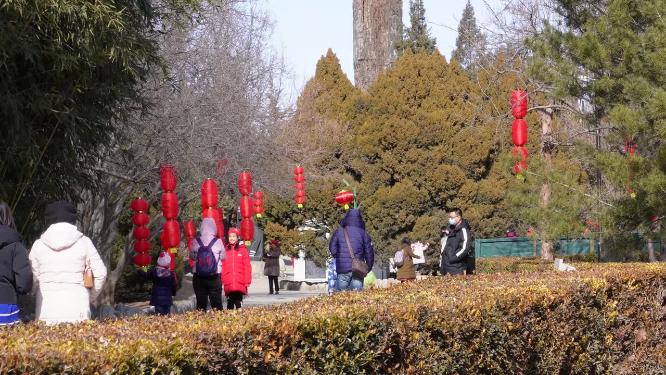 红灯笼装饰景区园区中华民族园