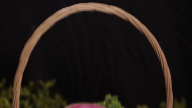 胡萝卜水萝卜心里美各种萝卜
