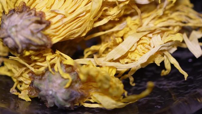 花茶金丝皇菊黄菊花去火胎菊菊花茶