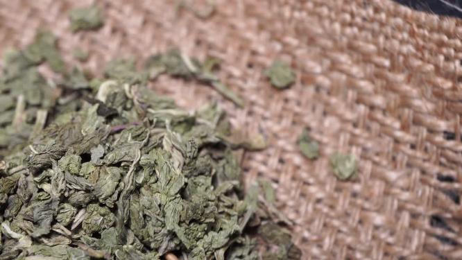 荷叶颗粒去火瘦身利水