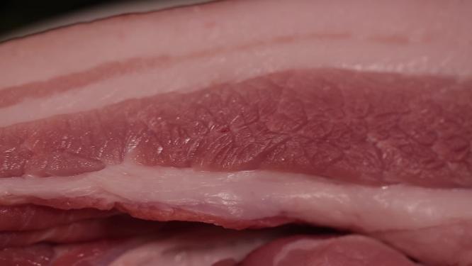 五花肉猪肉肥肉猪皮