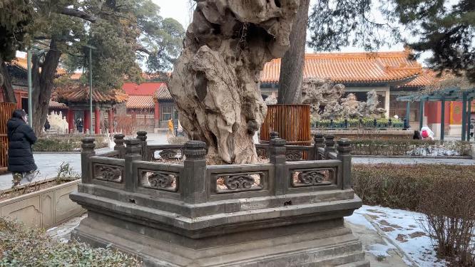 假山石故宫御花园造景园林