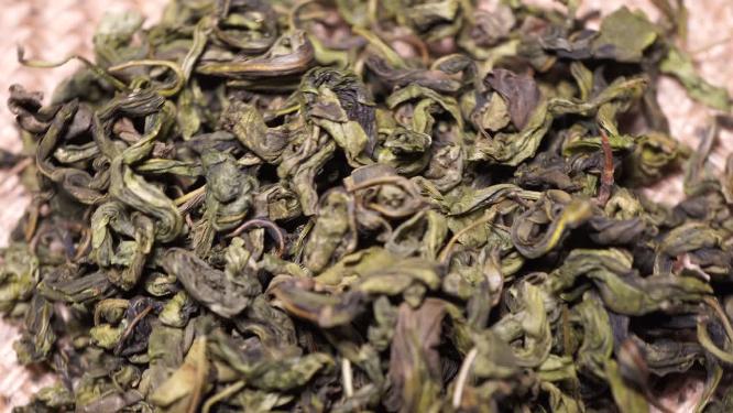 健康茶饮茶叶丁香叶