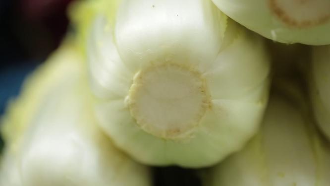农贸市场特写大白菜