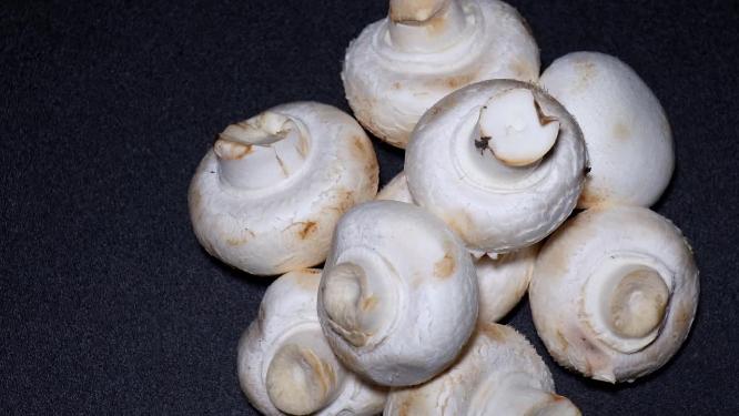 口蘑白蘑菇食用菌