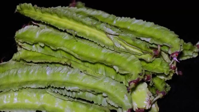 四角豆四棱豆龙豆