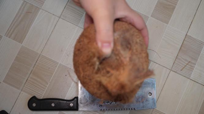 开椰子敲椰子老椰子椰子水椰子肉