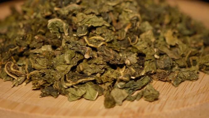 桑叶茶干桑叶花茶中医中药代茶饮