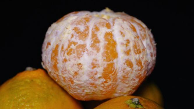 橘子柑橘橙子水果食材