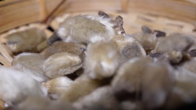 毛桃香料调料卤肉食材调味料