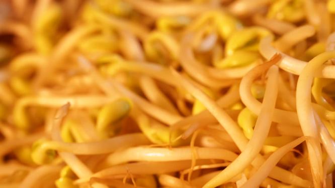 泡发豆芽新鲜豆芽