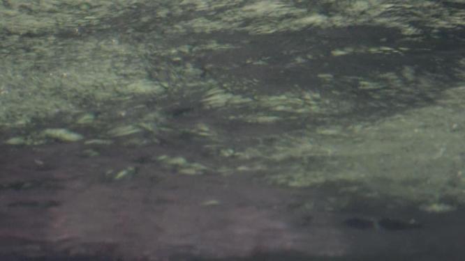 深水水流水波纹泡沫海底