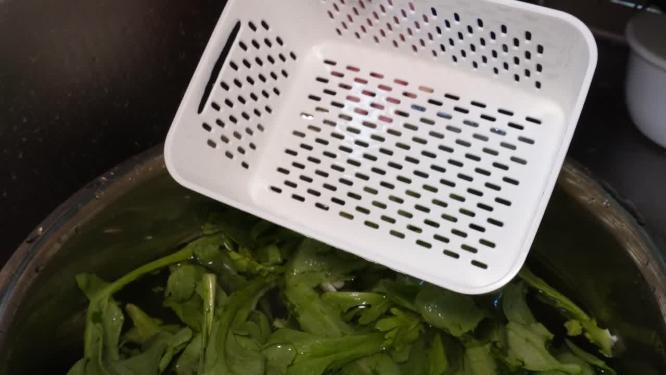 清洗绿色蔬菜西蓝花油麦菜