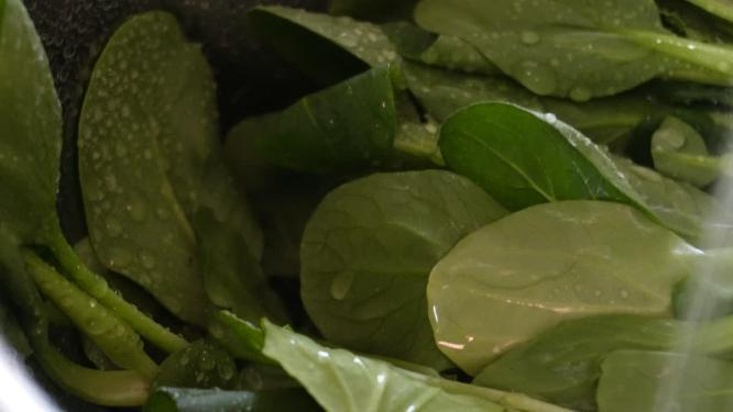 清洗菠菜苗沥水洗菜做菜