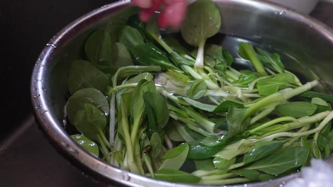 清洗菠菜苗沥水洗菜做菜