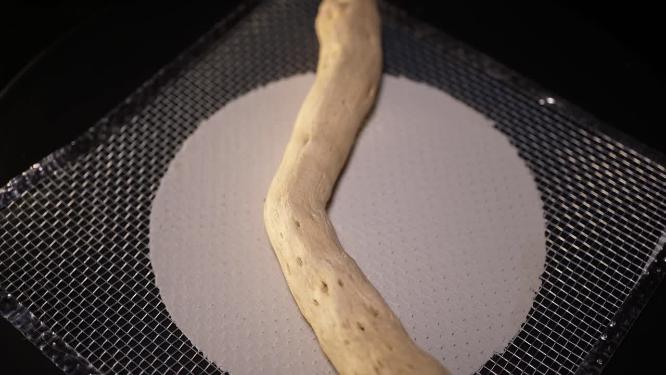 漂流木树枝木头枝杈种子植物干燥标本