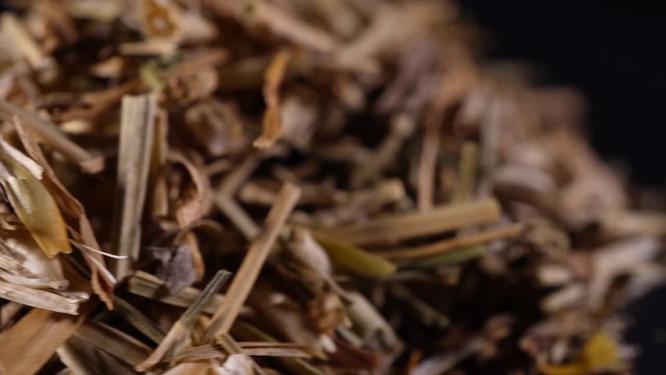 瞿麦中药中草药中医药材