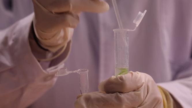 科学家实验员采样试管