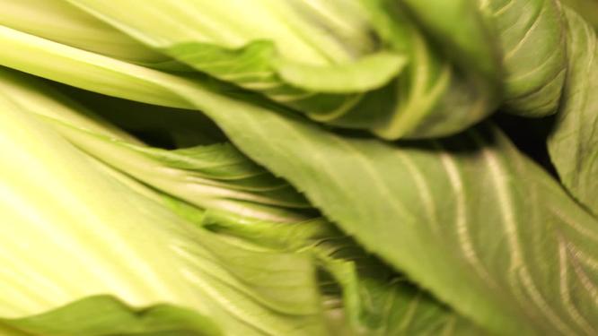 维生素青菜叶子油菜