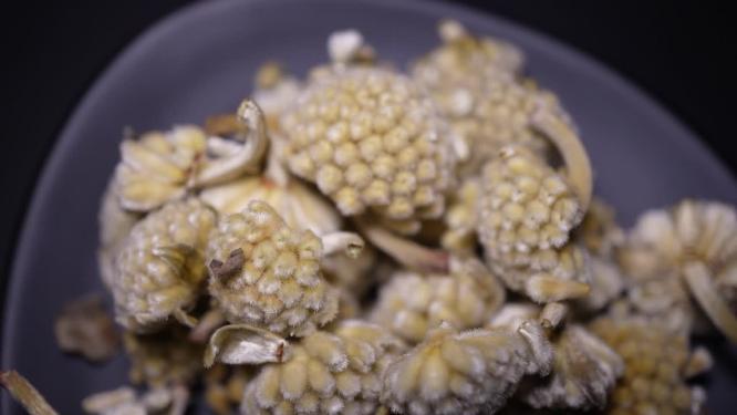 绿萝花结香雪丽花茶代茶饮中药中医
