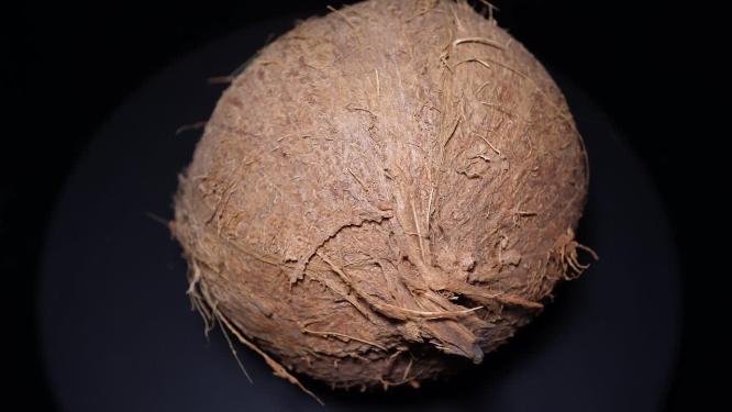 老椰子青椰子毛椰子椰宝