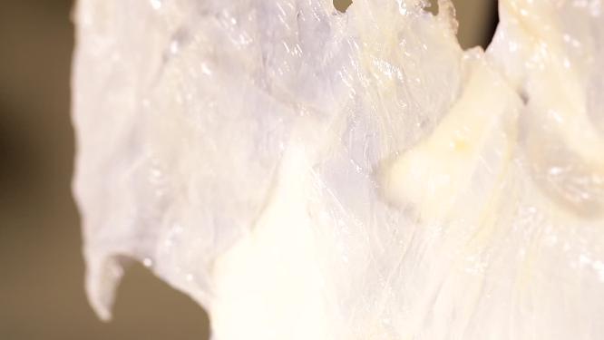 老醋蛰头海蜇皮海产品小海鲜