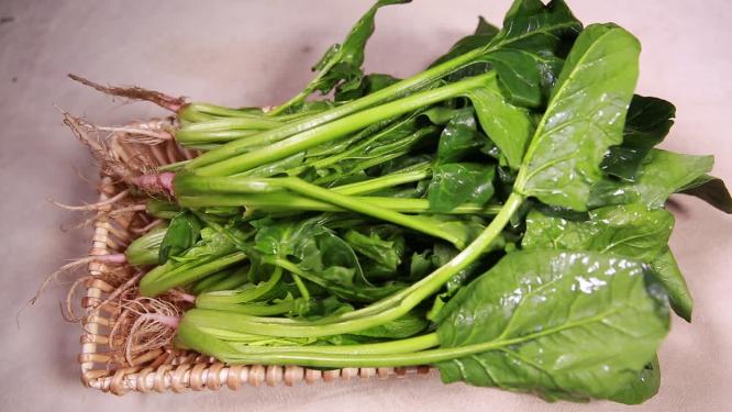 膳食纤维绿色蔬菜菠菜