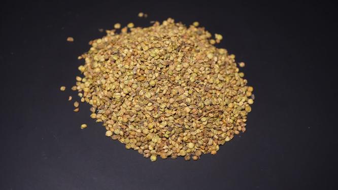 莳萝籽芥末籽香料调料卤肉食材调味料