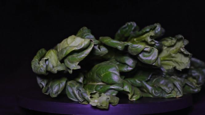 蔬菜菊花菜绿叶菜食材