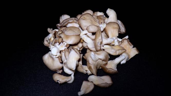 蘑菇平菇秀珍菇食用菌食材