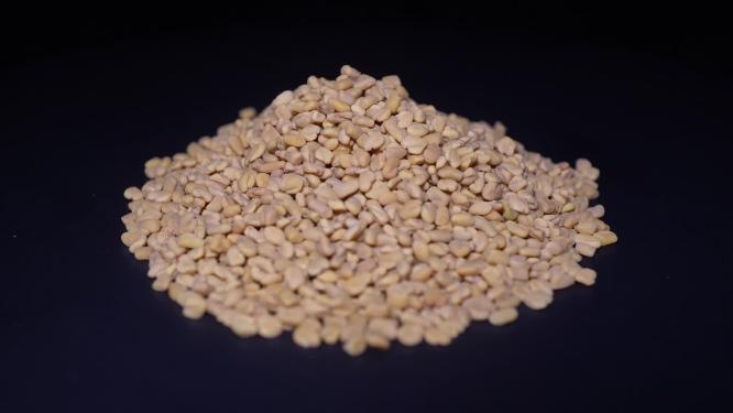 裤兜子芥末籽香料调料卤肉食材调味料