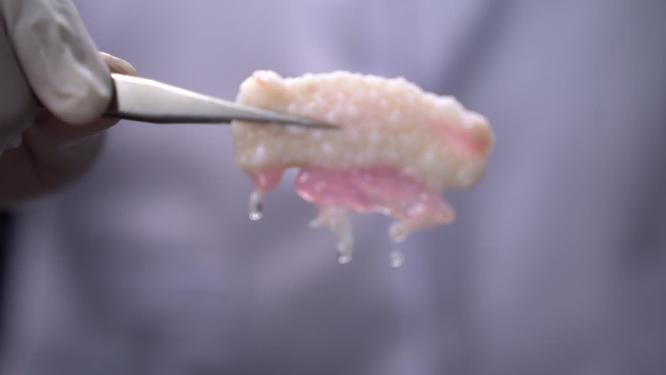 酸性液体硫酸硝酸醋酸腐蚀肉类