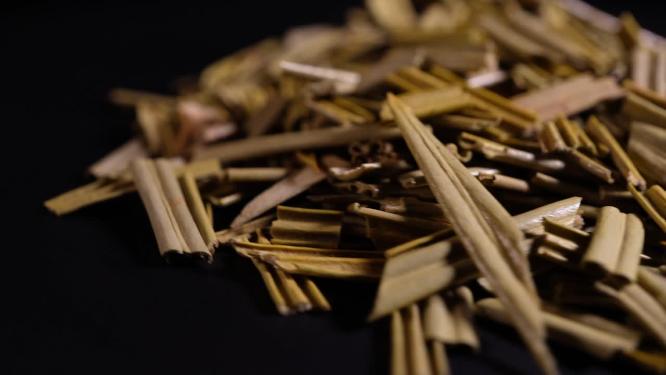 铁树叶中药中草药中医药材