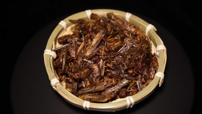 食用昆虫油炸蚂蚱蝗虫干炸蝗虫宠物饲料