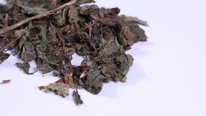 中药去火蒲公英