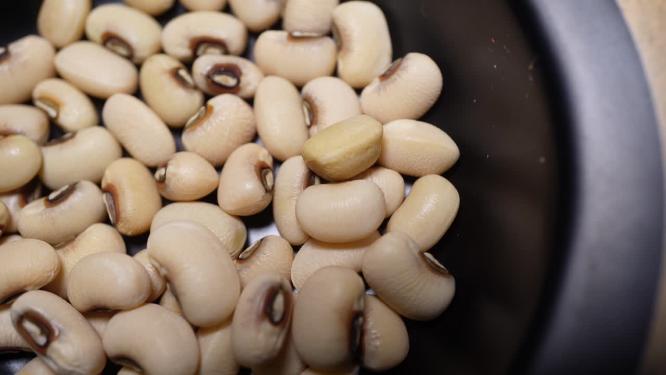 云南白眉豆白豇豆饭豆白豆米豆子杂粮
