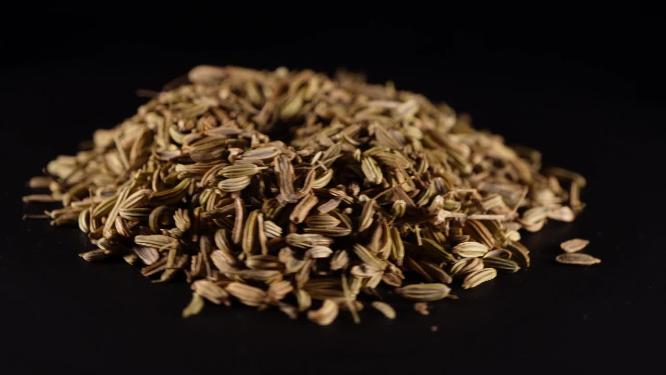 小茴香中药中草药中医药材